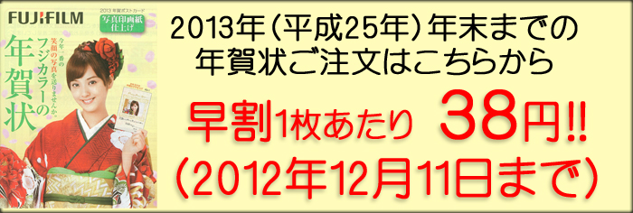 2013年賀状ポストカード_バナー_38円.jpg