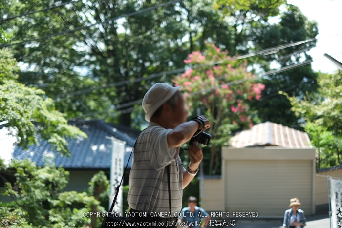 X-Pro1_2012試写会_yaotomi_お写ん歩_20.jpg