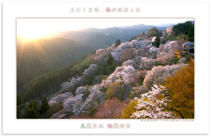 吉野山・下千本_2012.jpg