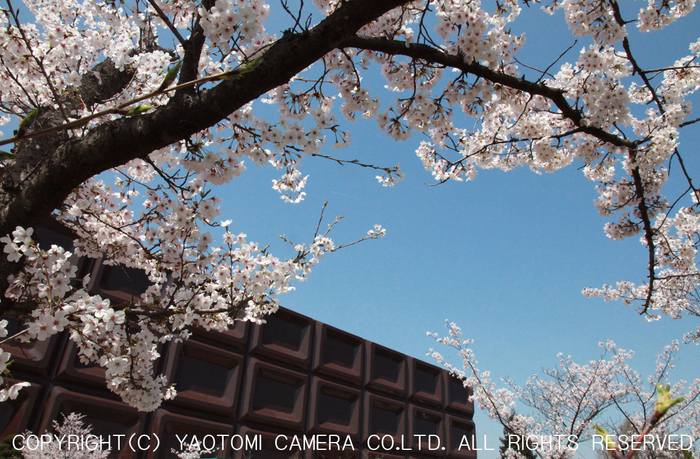 明治製菓大阪工場巨大チョコレート看板_yaotomi_2.jpg