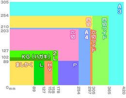 サイズ比較表.jpg