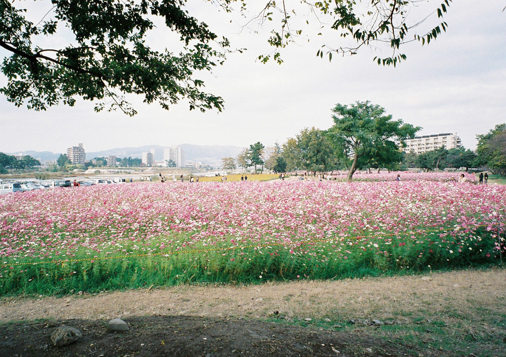 http://www.yaotomi.co.jp/blog/photo/N003.jpg