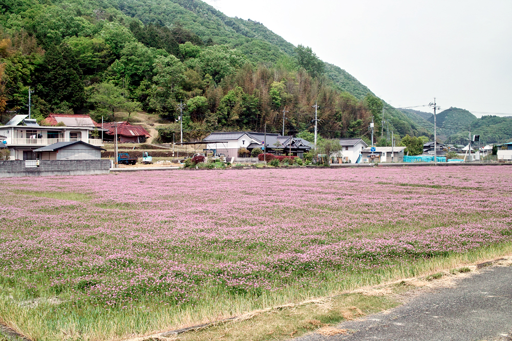 http://www.yaotomi.co.jp/blog/photo/SDIM0215.jpg