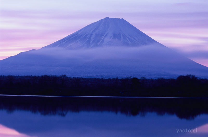 http://www.yaotomi.co.jp/blog/takatsuki/sugimoto01.jpg