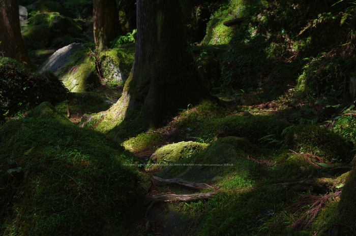 桑ノ木の滝,新緑(K32_0518,55 mm,F6.3,FULL)2015yaotomi.jpg