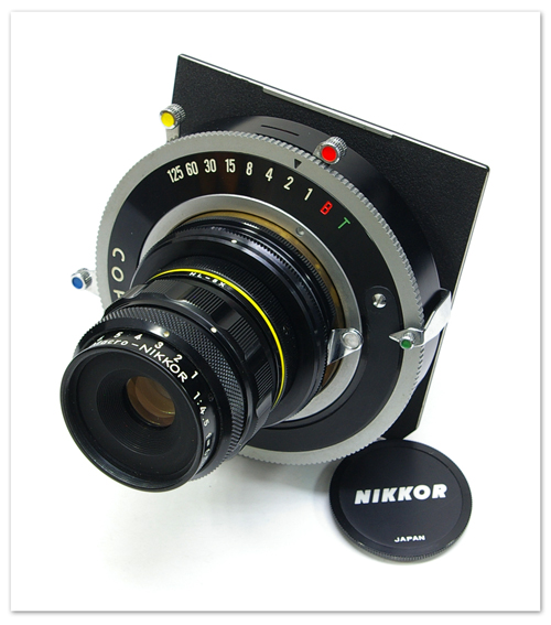 macro-nikkor-65mm-008.jpg