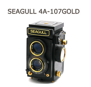 seagull-006.jpg