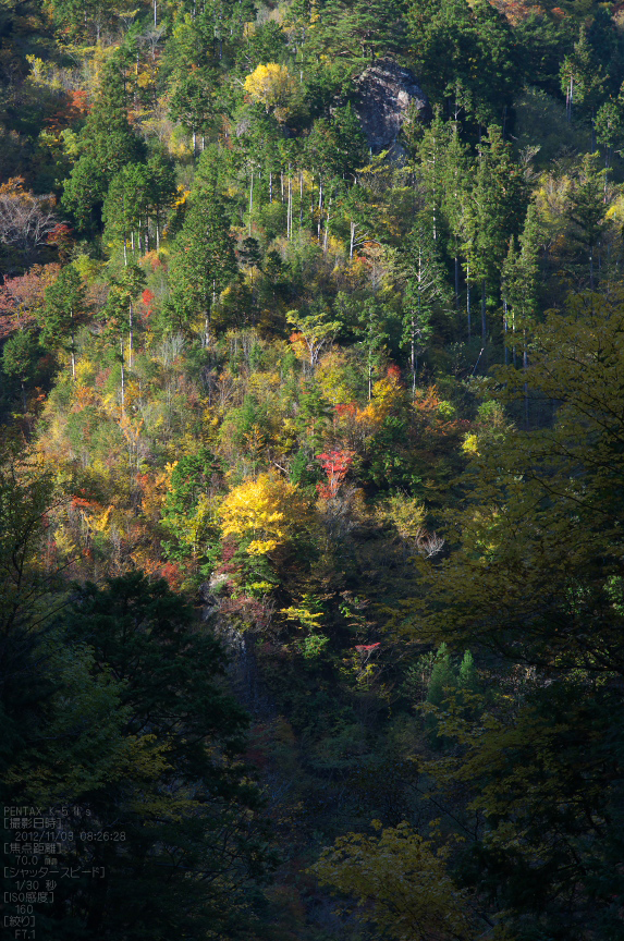 みたらい渓谷紅葉2012_yaotomi_43s.jpg