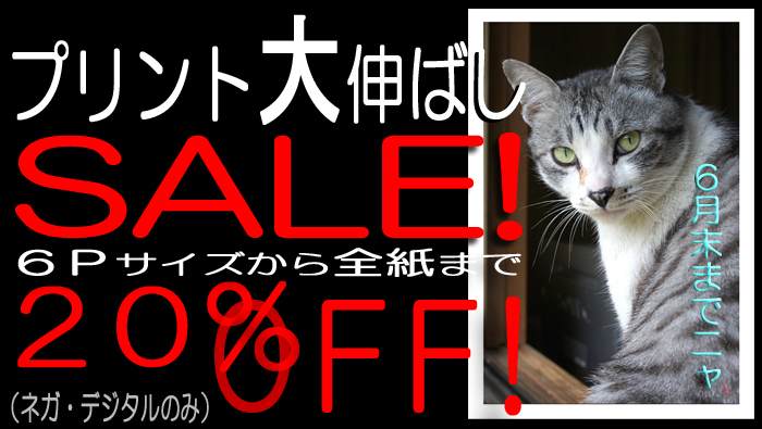 プリント２０％ＯＦＦ-1.jpg