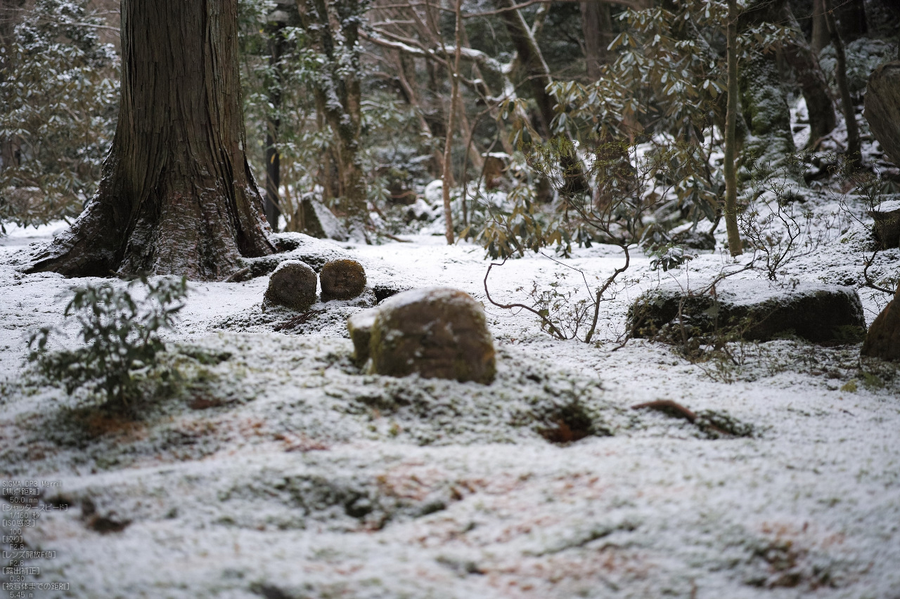 http://www.yaotomi.co.jp/blog/walk/%E4%B8%89%E5%8D%83%E9%99%A2_%E9%9B%AA%E6%99%AF_SIGMA_DP3merrill_2013yaotomi_12s.jpg