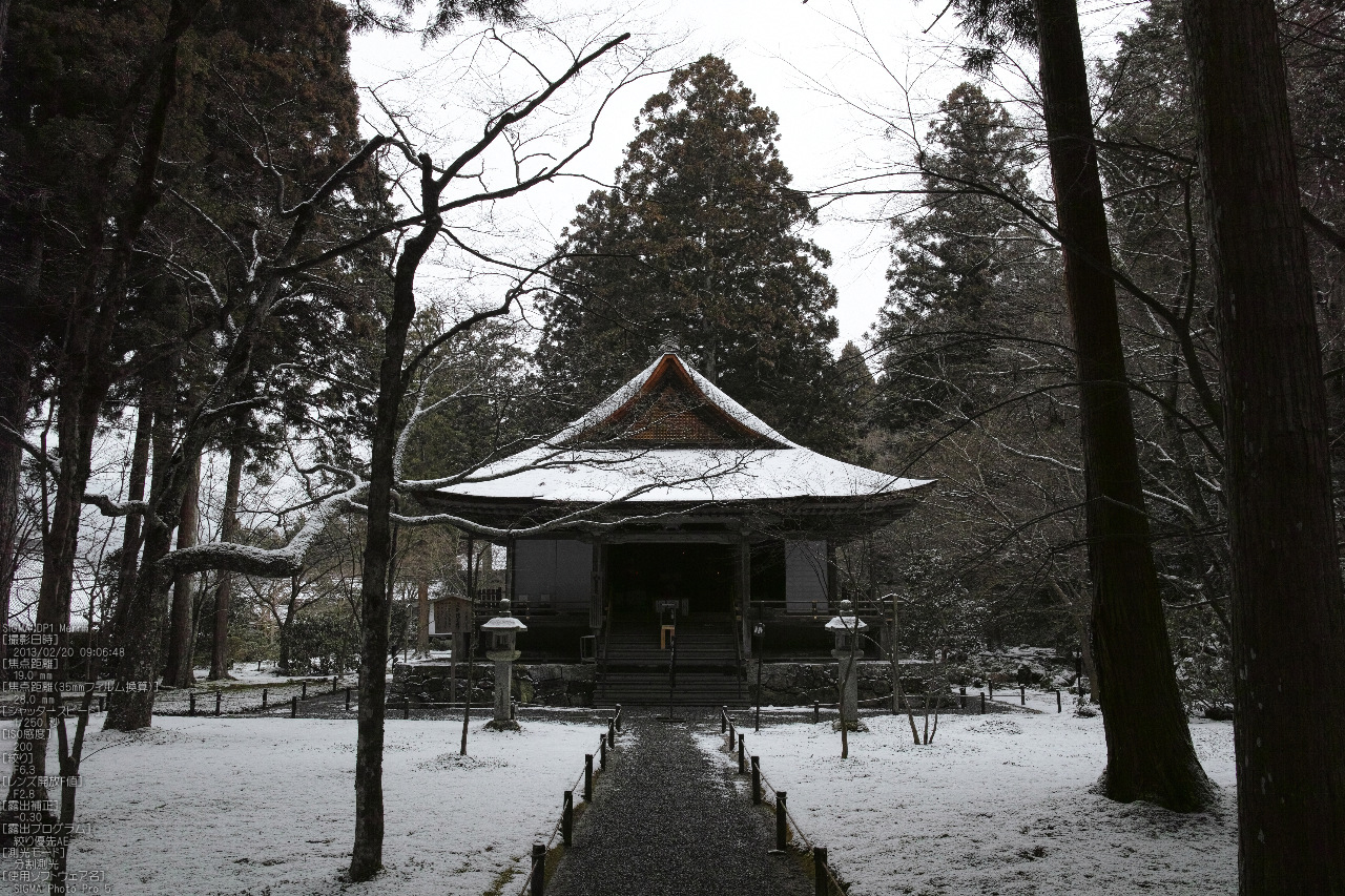 http://www.yaotomi.co.jp/blog/walk/%E4%B8%89%E5%8D%83%E9%99%A2_%E9%9B%AA%E6%99%AF_SIGMA_DP3merrill_2013yaotomi_21s1.jpg