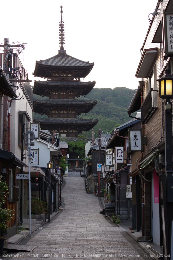 京都,東山(K70_0726,55 mm,F6.3,iso400)2016yaotomi.jpg