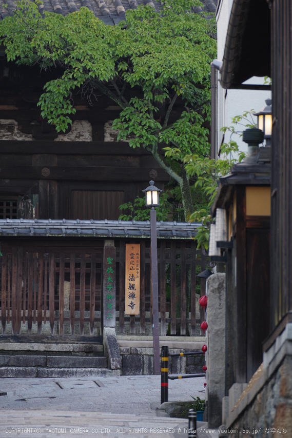 京都,東山(K70_0739,300 mm,F8,iso400)2016yaotomi.jpg