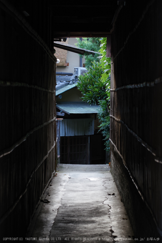 京都,東山(K70_0773,78 mm,F8,iso400)2016yaotomi.jpg