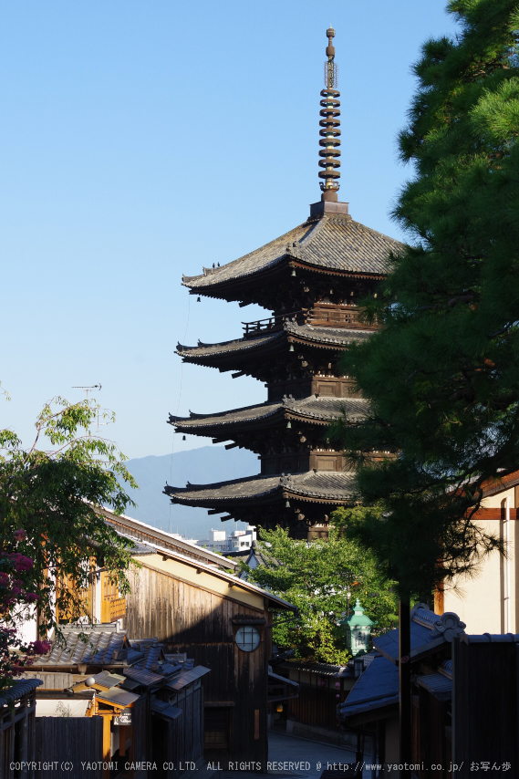 京都,東山(K70_0812,55 mm,F8,iso400)2016yaotomi.jpg