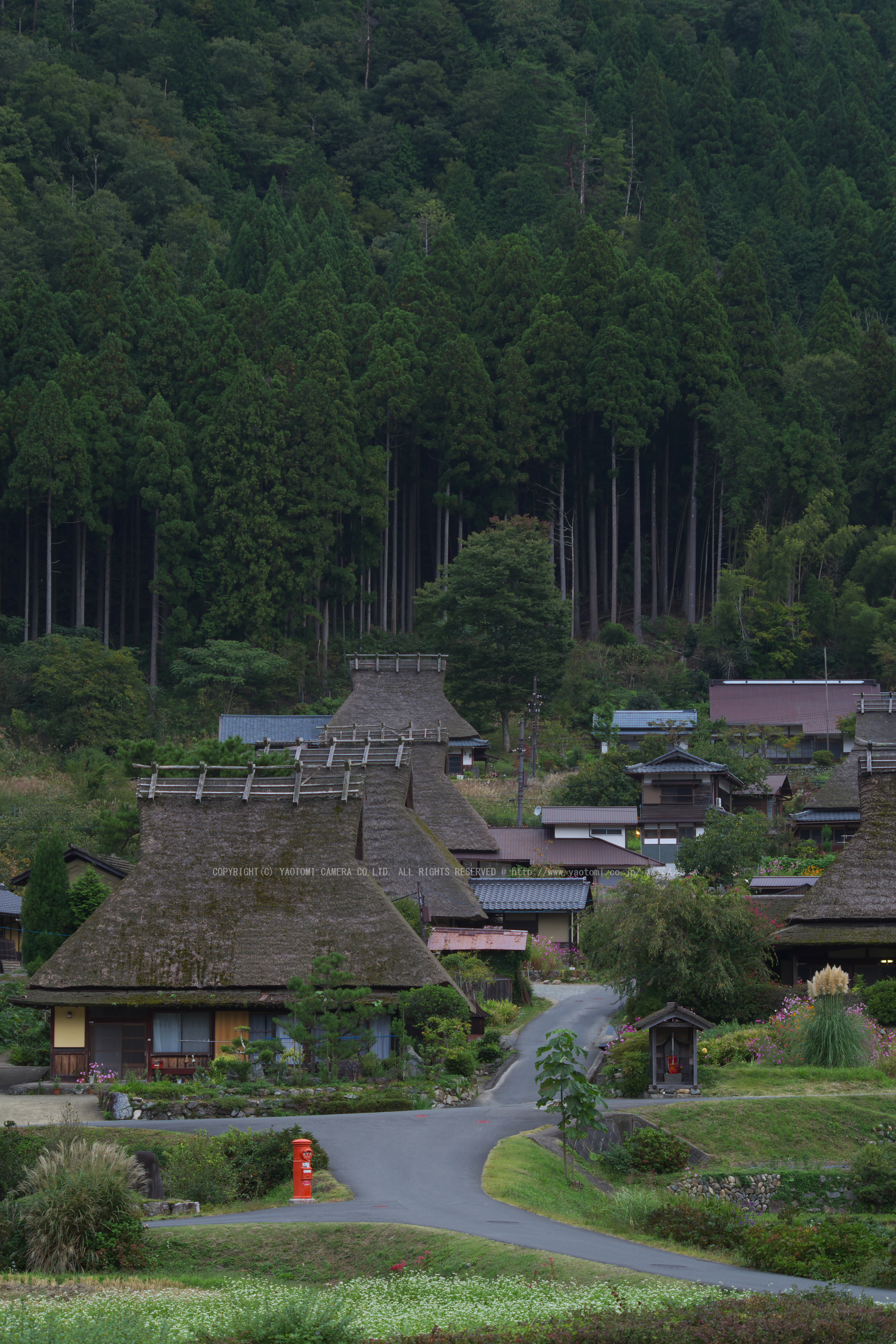 http://www.yaotomi.co.jp/blog/walk/%E4%BA%AC%E9%83%BD%E7%BE%8E%E5%B1%B1%2C%E3%81%8B%E3%82%84%E3%81%B6%E3%81%8D%E3%81%AE%E9%87%8C%2C%E3%81%9D%E3%81%B0%28IMGP0906%2CFULL%292014yaotomi_.jpg