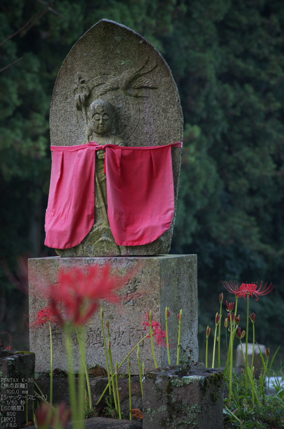 仏隆寺_彼岸花_2012_yaotomi_お写ん歩_16.jpg