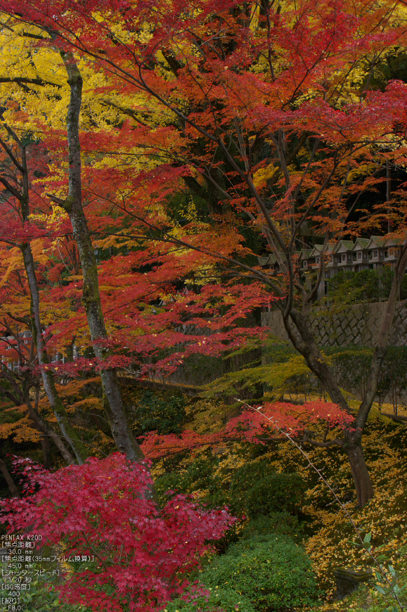 信貴山朝護孫子寺紅葉_2011_20.jpg