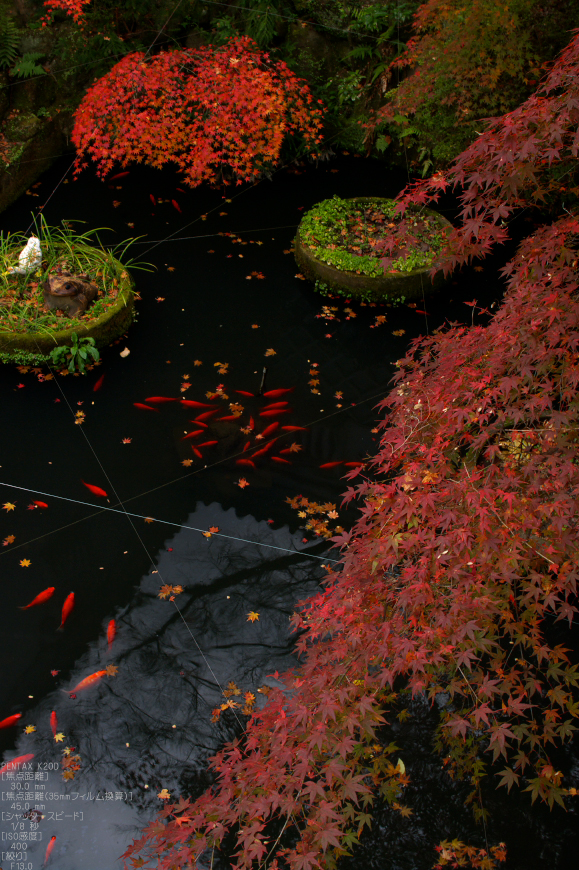 信貴山朝護孫子寺紅葉_2011_9.jpg