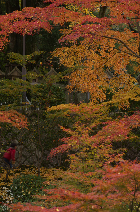 信貴山朝護孫子寺紅葉_2012yaotomi_23.jpg