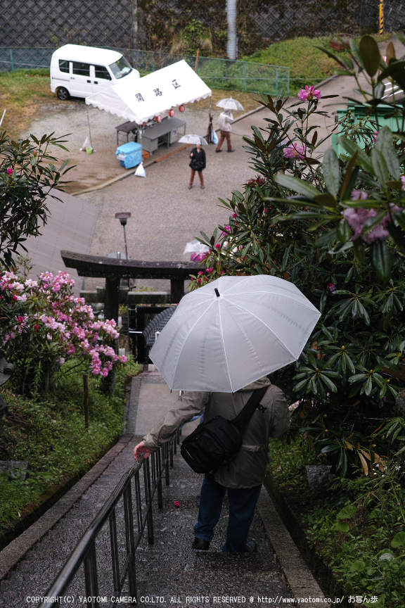 写真散歩会・お写ん歩_20130511yaotomi_32s.jpg