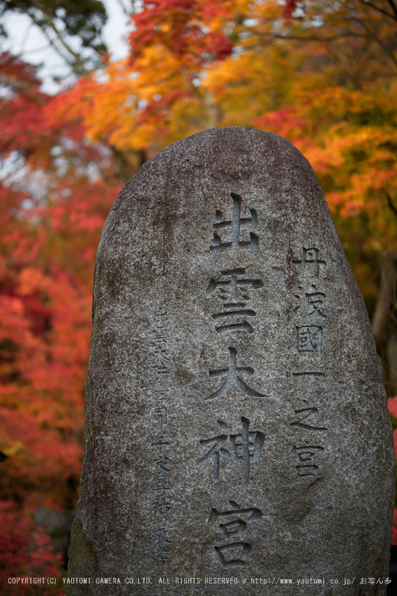 出雲大神宮,紅葉_IMG_9321,2016yaotomi_.jpg