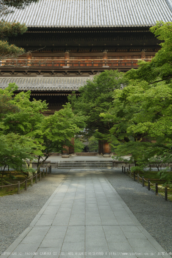 南禅寺,新緑(SDIM0052,35mm,F6.3)2014yaotomi_.jpg