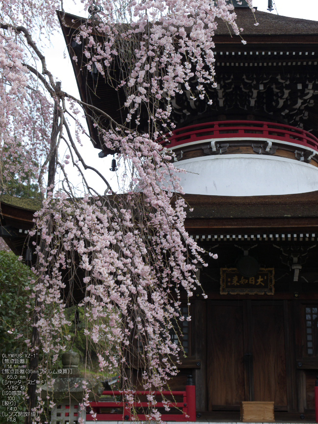 吉野山_桜_その１_2012_yaotomi_11.jpg