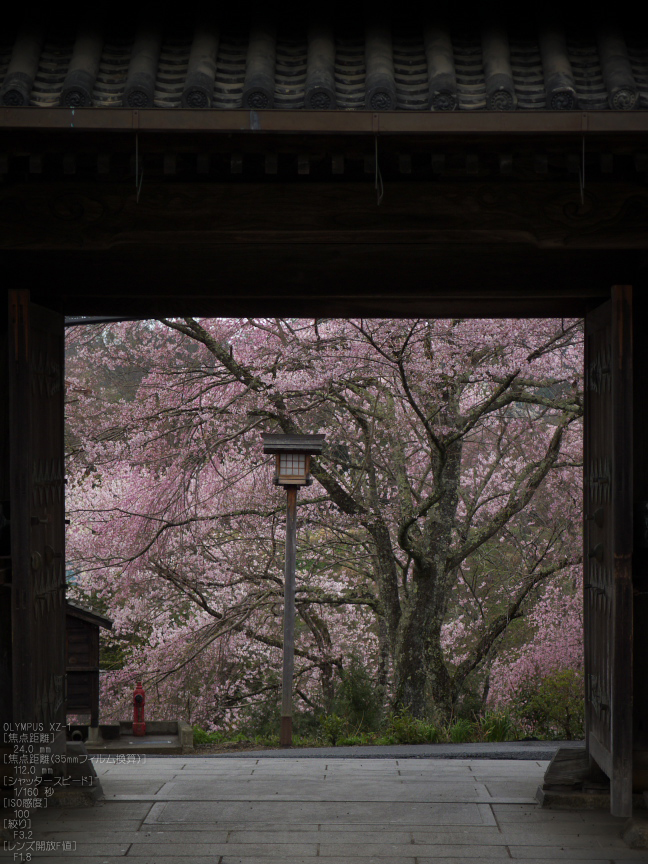 吉野山_桜_その１_2012_yaotomi_26.jpg