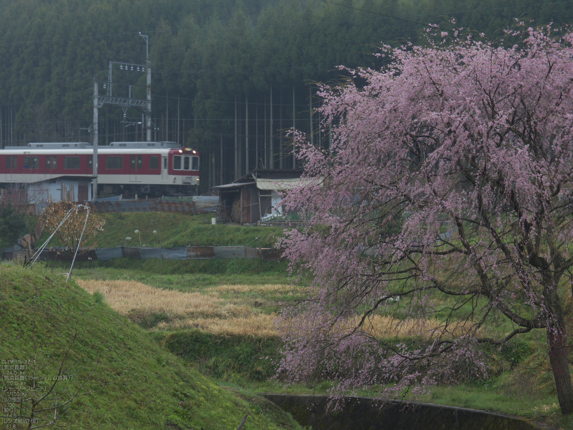 http://www.yaotomi.co.jp/blog/walk/%E5%90%89%E9%87%8E%E5%B1%B1_%E6%A1%9C_%E3%81%9D%E3%81%AE%EF%BC%91_2012_yaotomi_63.jpg