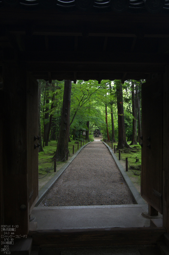 唐招提寺_蓮_2012_yaotomi_お写ん歩_12.jpg