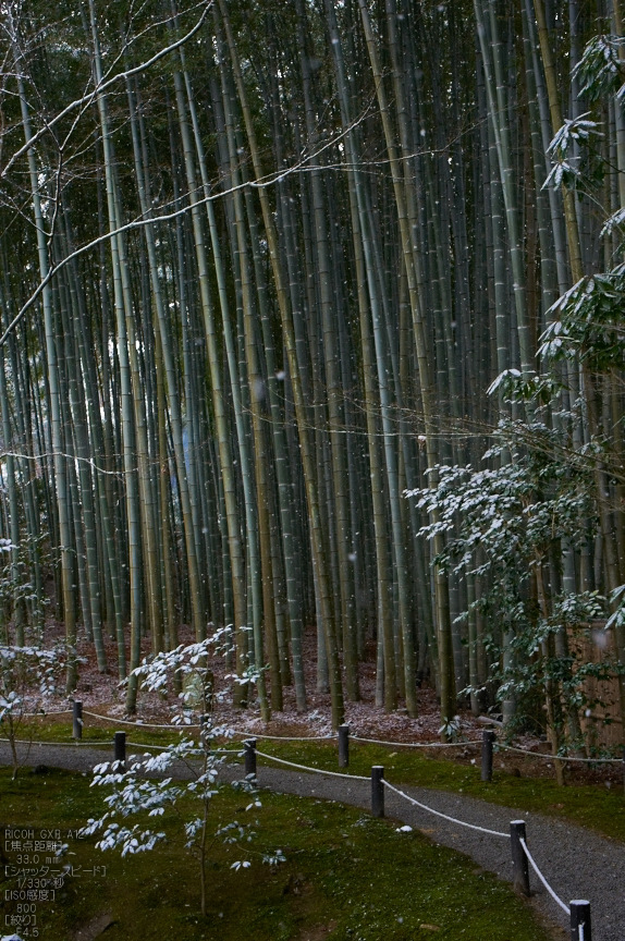 圓光寺_雪景_2013yaotomi_12s.jpg