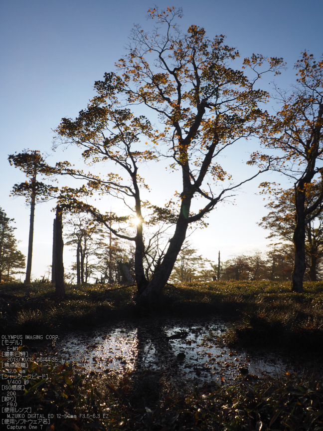 大台ケ原,紅葉_2013yaotomi_OMD,EM1_16s.jpg