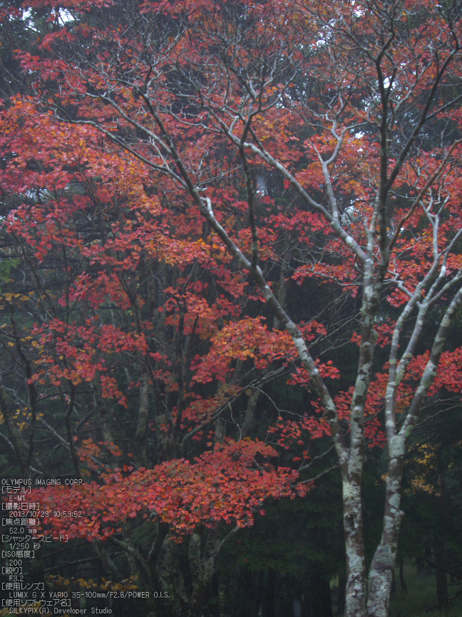 大台ケ原,紅葉_2013yaotomi_OMD,EM1_b51.jpg