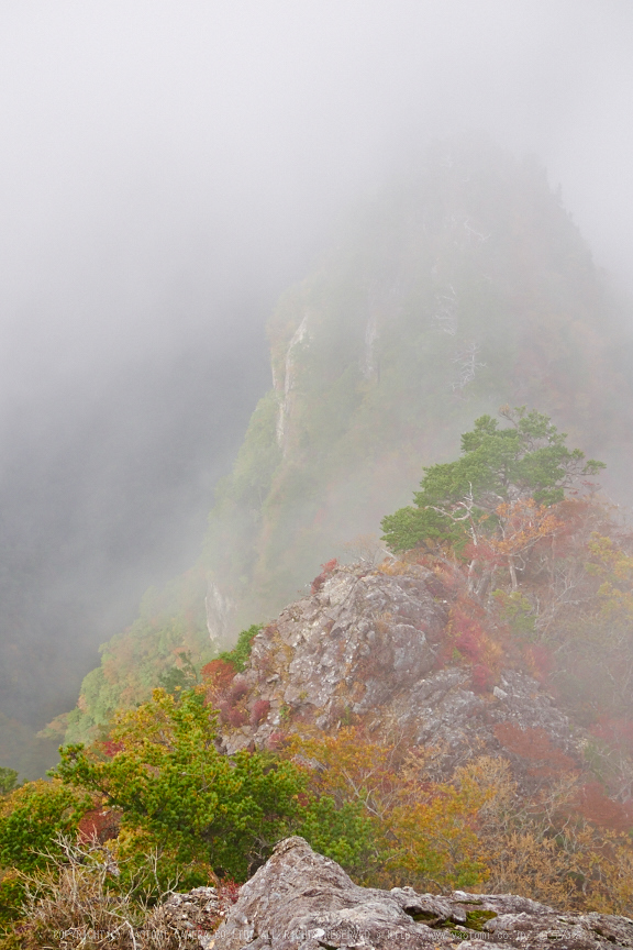 大台ヶ原,紅葉(2)(PA150152,25mm,F4.5,EM1)2014yaotomi_.jpg