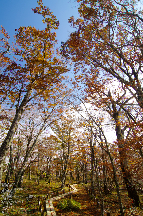 大台ヶ原_2011_紅葉_14.jpg