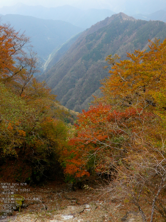 大台ヶ原_2011_紅葉_17.jpg