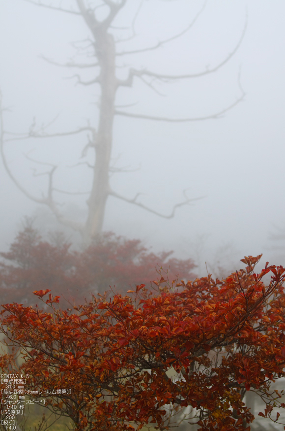 大台ヶ原_2011_紅葉_18.jpg