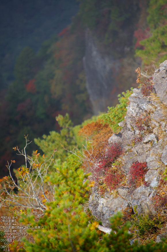 大台ヶ原_2011_紅葉_32.jpg