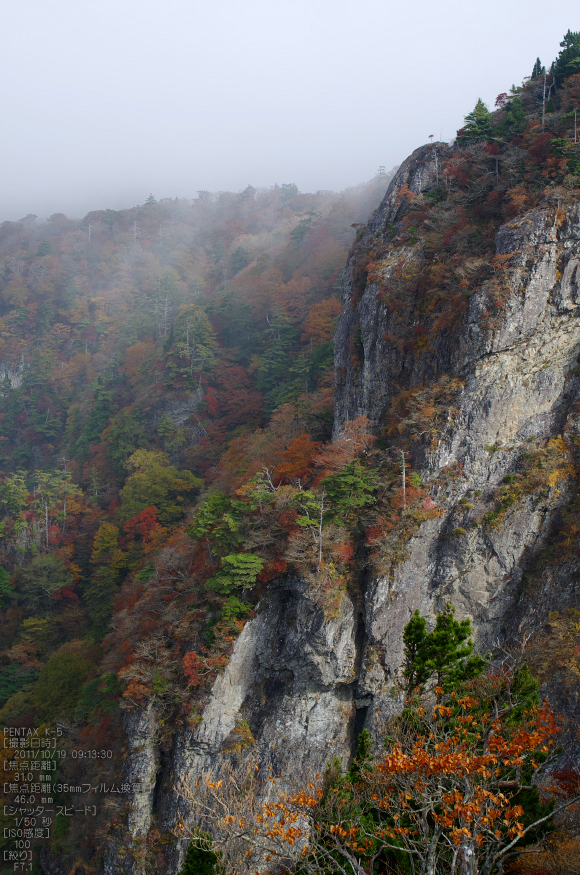 大台ヶ原_2011_紅葉_33.jpg