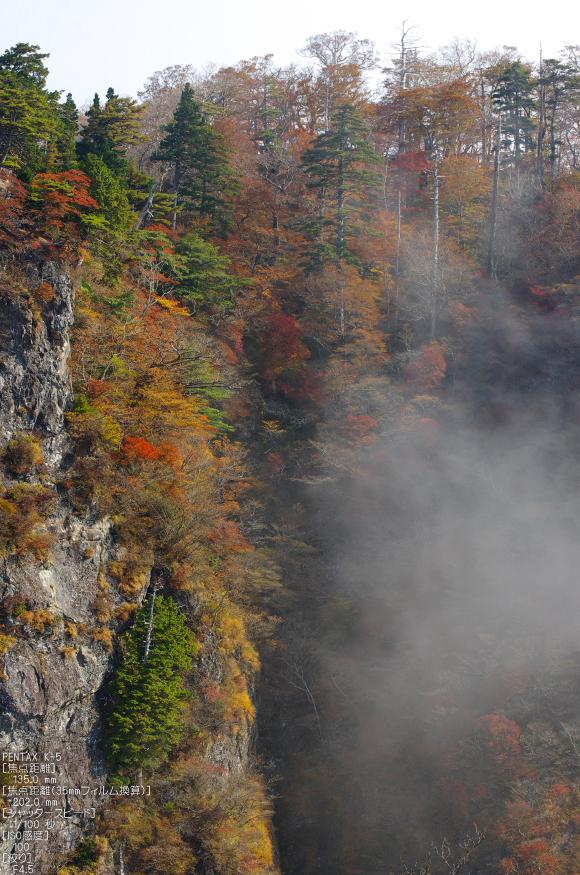 大台ヶ原_2011_紅葉_37.jpg