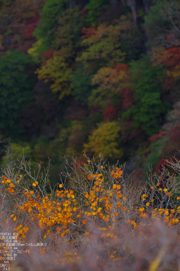 大台ヶ原_2011_紅葉_38.jpg