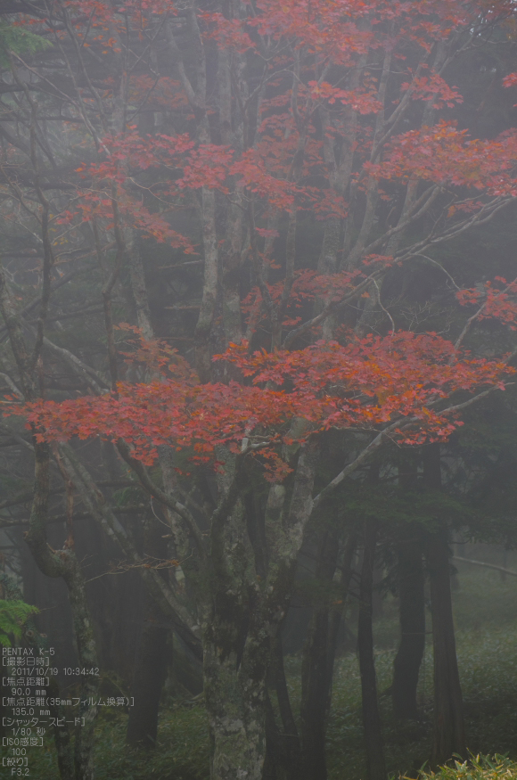 大台ヶ原_2011_紅葉_51.jpg