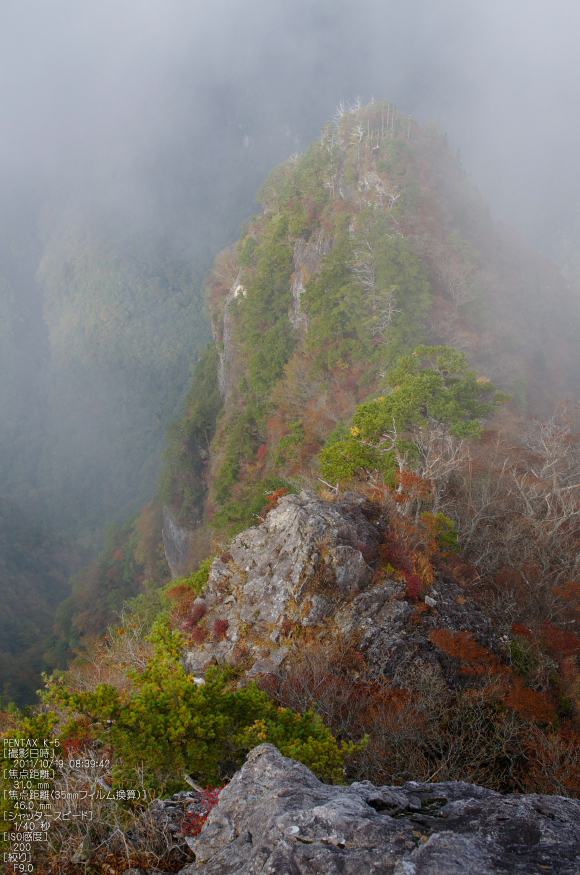 大台ヶ原_2011_紅葉_7.jpg