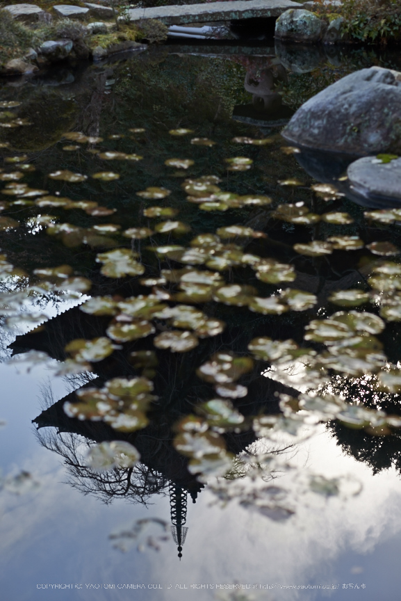 大和七福八宝めぐり,當麻寺,2014_DSC_6402Cap(F3.5,iso100,AF-S,NIKKOR58,1,4G,D800E)2014yaotomi.jpg