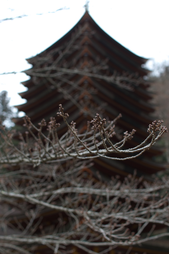 大和七福八宝めぐり,談山神社_PK3_6408,F2,8(SIGMA30mm)_2014yaotomi_.jpg