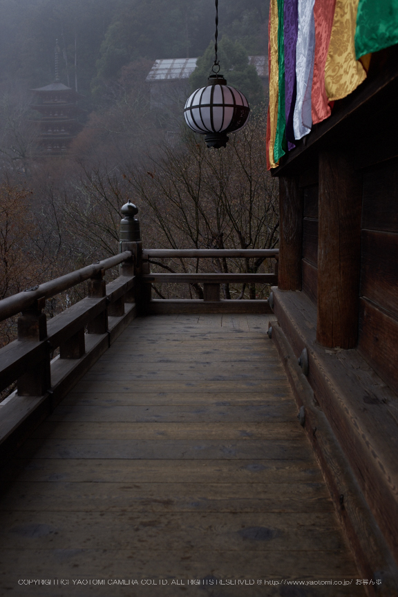 大和七福八宝めぐり,長谷寺,2014_DSCF0247Cap(F2.8,XF23mmF14 R,XE2)2014yaotomi.jpg