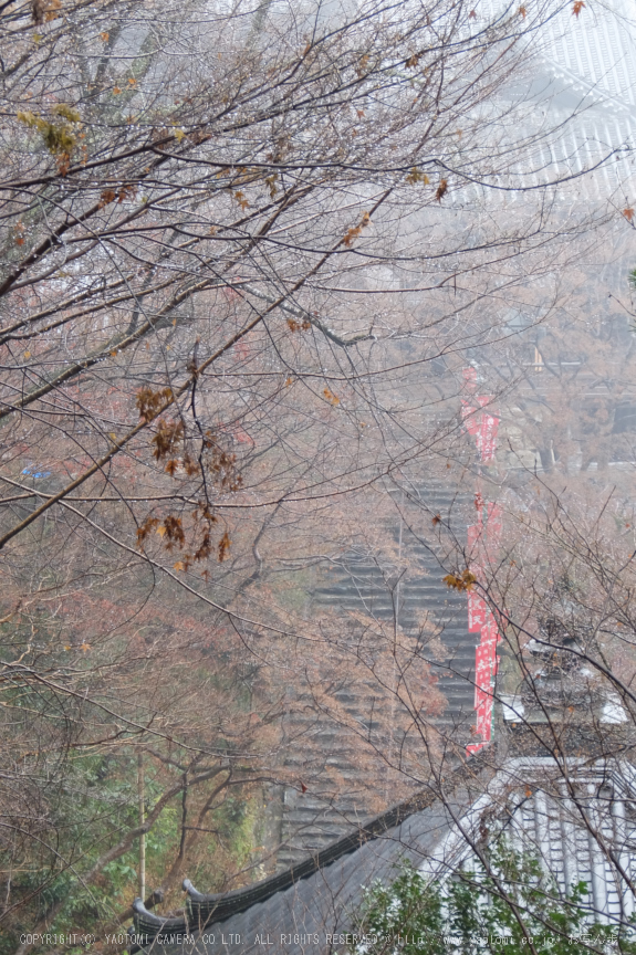 大和七福八宝めぐり,長谷寺_DSCF0240(Cap,25.6mm,F4.9,iso100,XQ1)2014yaotomi.jpg