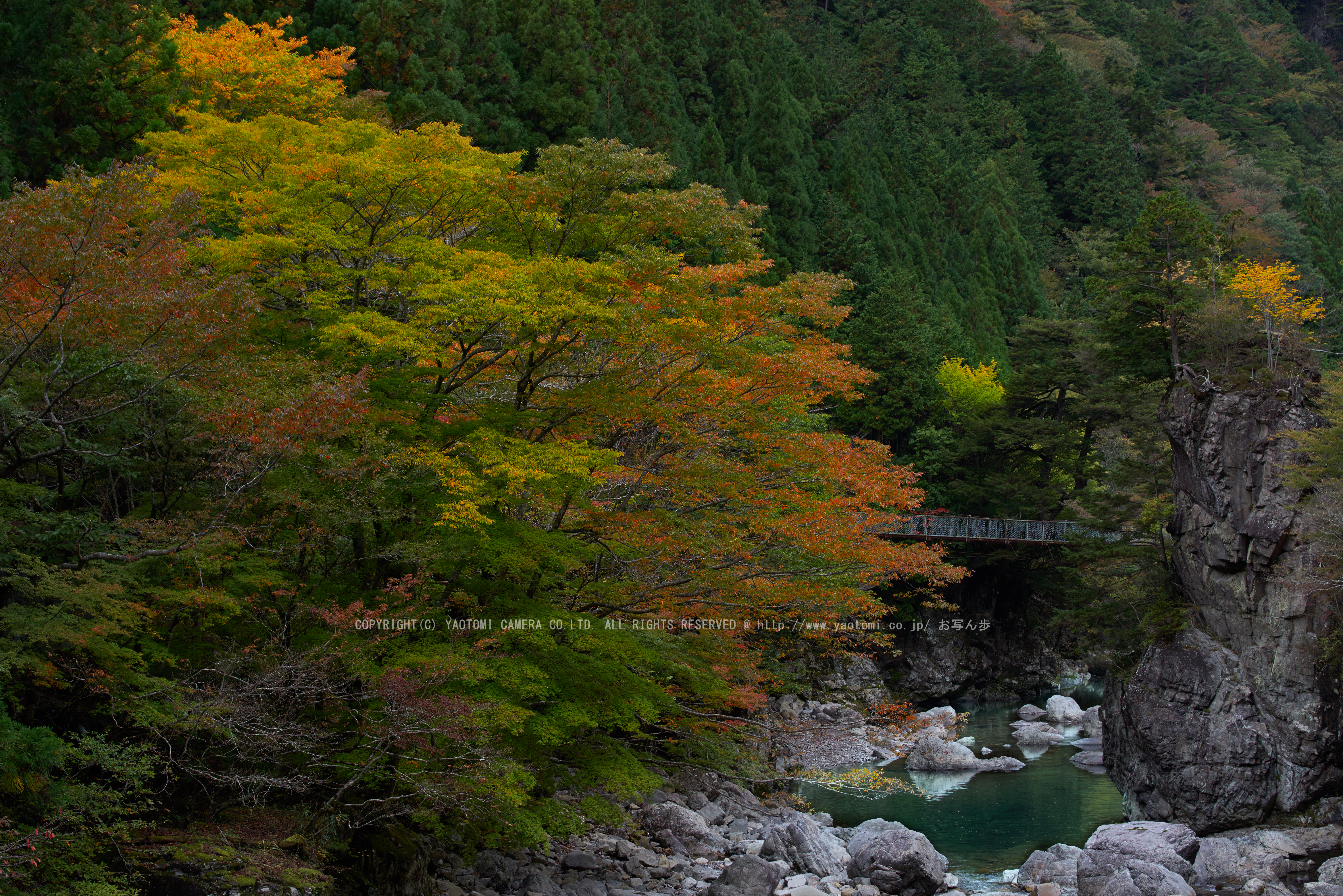 http://www.yaotomi.co.jp/blog/walk/%E5%A4%A9%E5%B7%9D%2C%E5%A4%A9%E3%83%8E%E5%B7%9D%E6%B8%93%E8%B0%B7%28PK1_2842FL%2C70%20mm%2CF6.3%292016yaotomi_%201.jpg