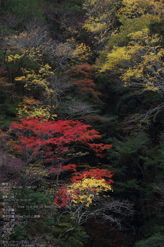 天川,天ノ川渓谷,紅葉（PENTAX-K3）_2013yaotomi_60s.jpg